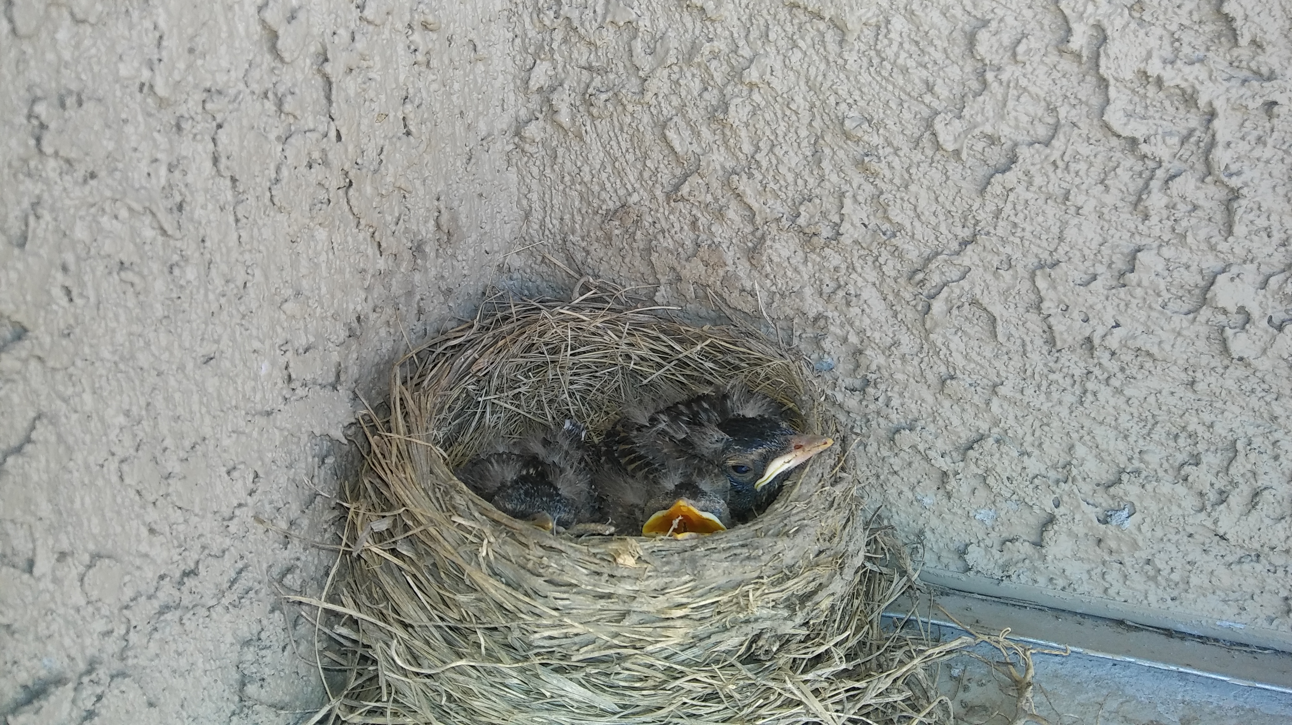 Asbury out the front door neighbors